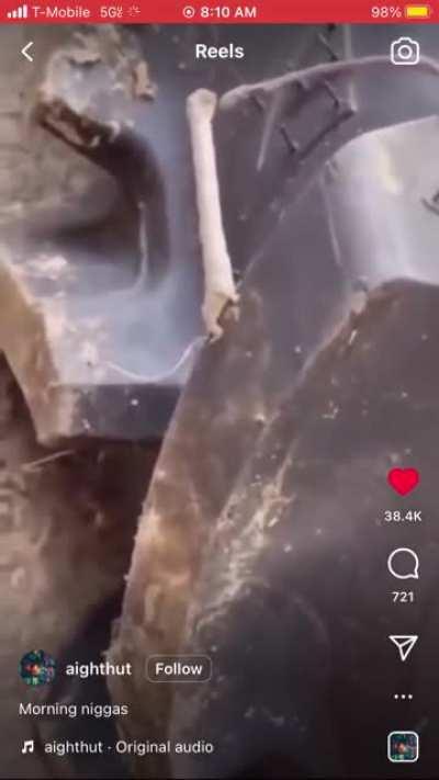 What in the world is this?