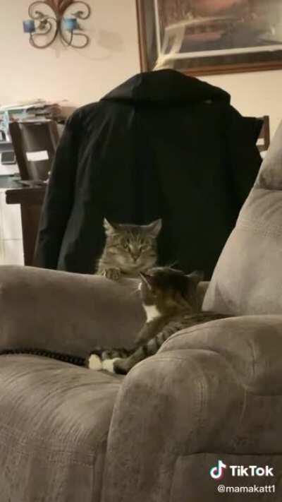 Terrible at the sneak attac