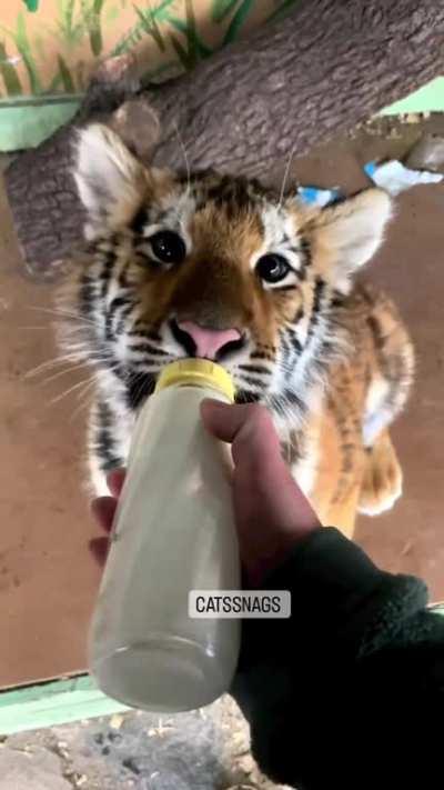 HelloWorld with capital letters