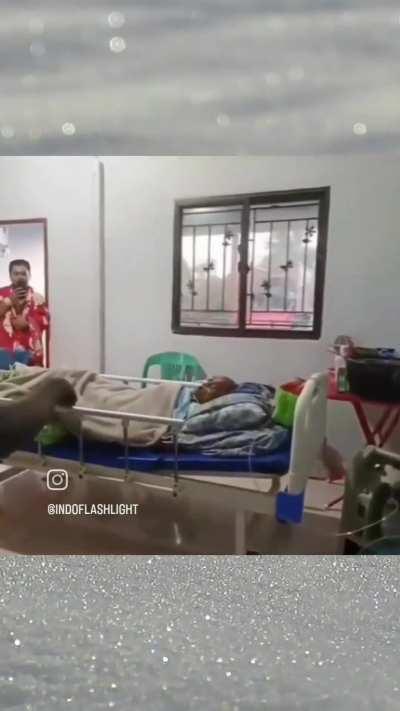 Elephant visits its sick caretaker 