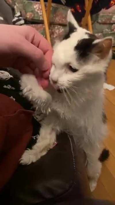 Margo is 29 and she KNOWS what she WANTS