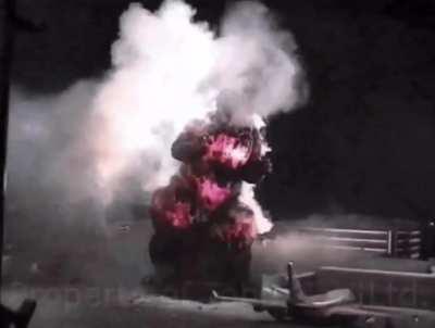 Godzilla freakin dies