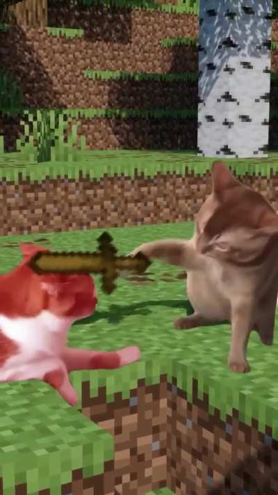 Evil lunkus brutally kills wunk