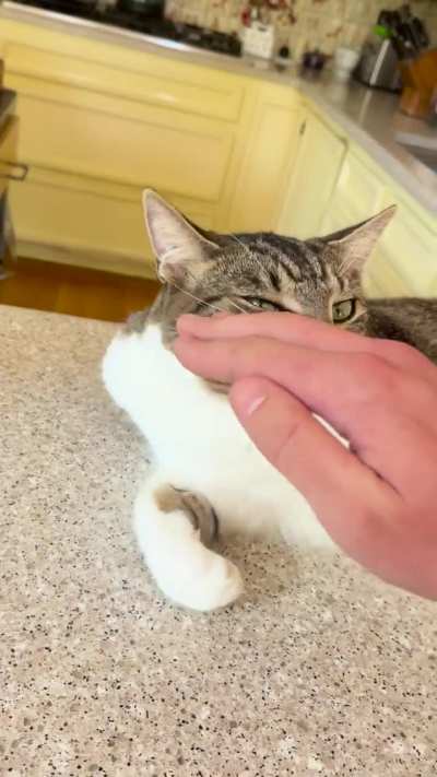 Oh he ain't asking, he is demanding