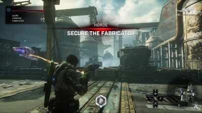 Two Jack specimen mating in their natural habitat