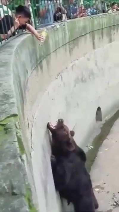 Saddest thing I've seen today 