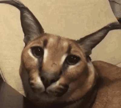 there is no meme uh take off your clothes