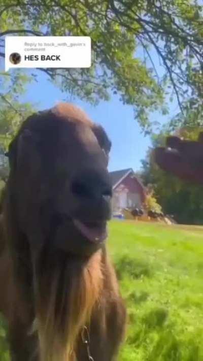 What's wrong with Him???