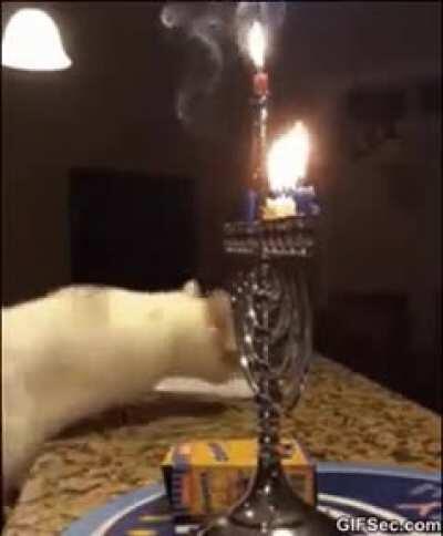 Well, that didn't go as planned