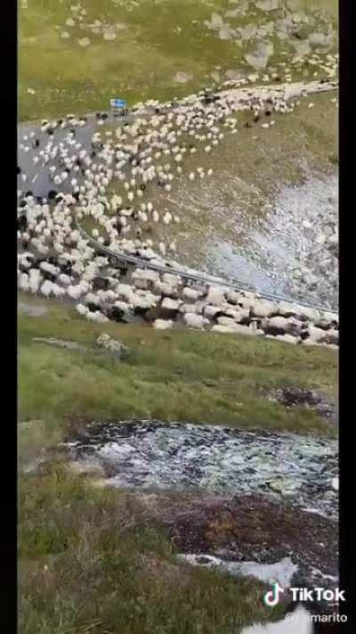 Maybe he shouldn't have made them angry