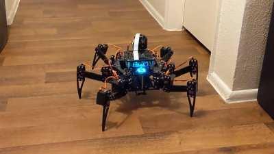 Half way through grad school, got her walking and sensing this semester