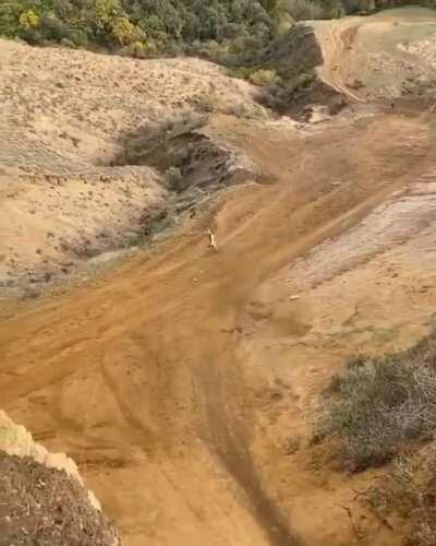 Slap some new bars on ‘er and it’ll be good as new