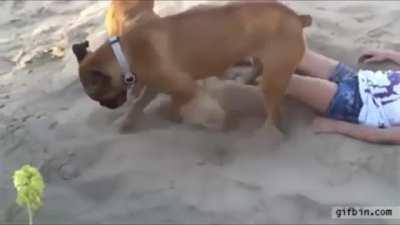 Kick me again when I'm sleeping