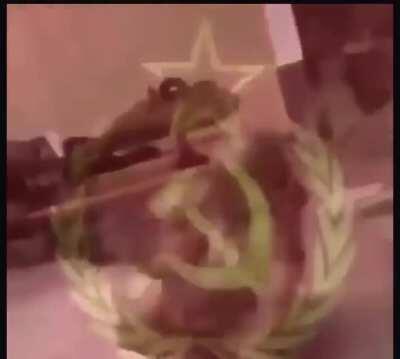 Just a typical comrade