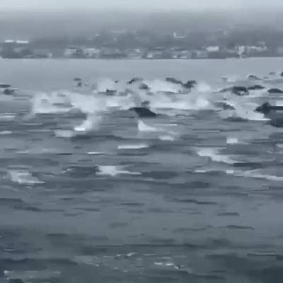 AMC retailers getting ready for Monday buying. AMC500K 💎🖐🏼