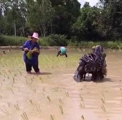 Vietnam is wyld😂☠️