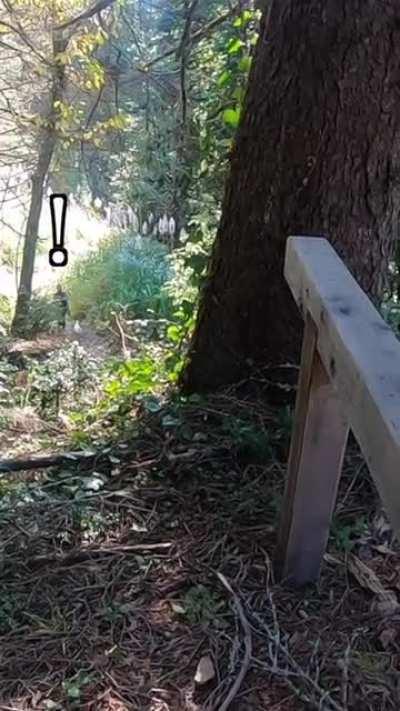 Almost got caught fucking on the trail but that didn't stop us :) [OC][GIF]