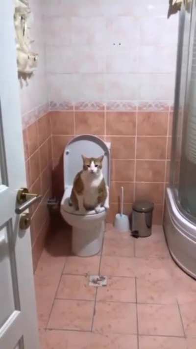 Ayıp be kardesim bari tuvalette rahat bırakın