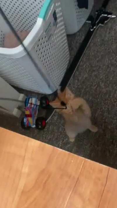 I was wondering what my cord was caught on and found this criminal trying to hijack my mouse