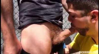 MM: quick! before they catch us