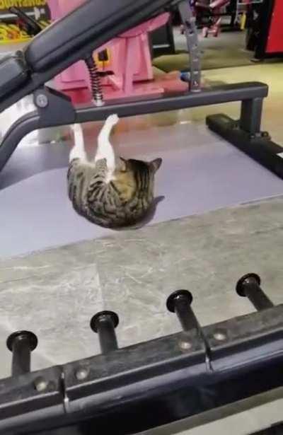 It's My Workout Time Hooman