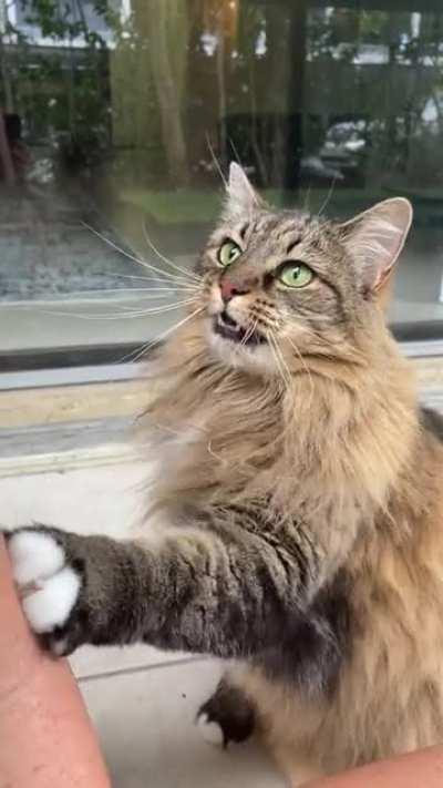 Checking in on P-Nutt while friend is out of town (sassy ending)