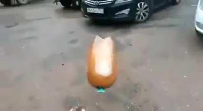 Dog goes boom (Dog wasn't harmed)