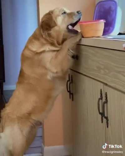 He people and he died inside. Change my mind.