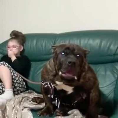 Тhis Littlе Girl With Неr Dоg. . .