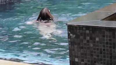 A little fun from YouTube