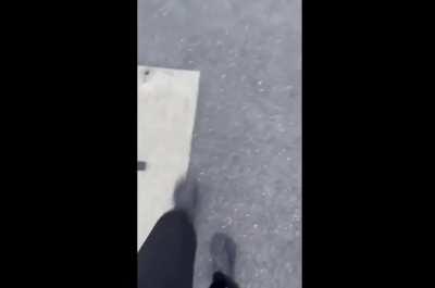 Almost flattened by car.