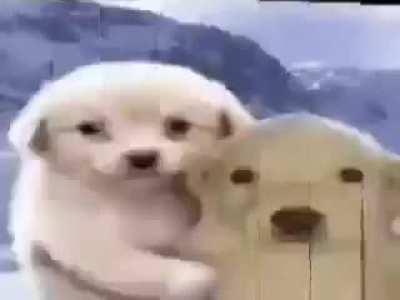 Este video se lo dedico a u/carlos16000