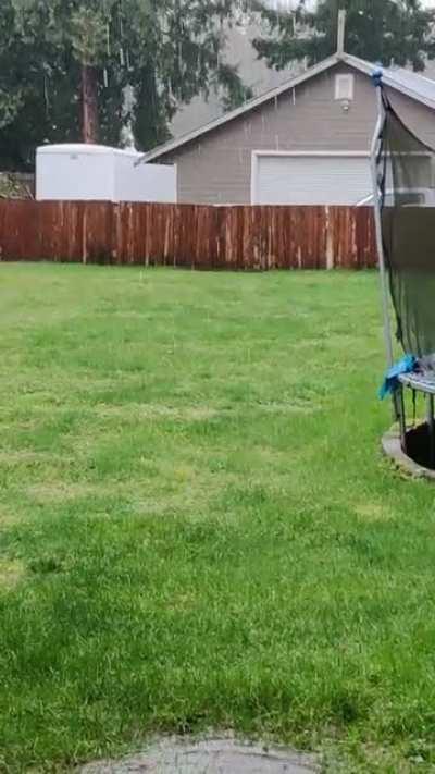 Hard to see, but it's been raining A LOT here recently. Many fields in my area have become lakes and about 200mm is expected.