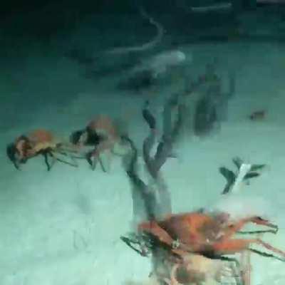 Well that's just haunting