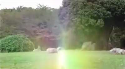 What did I just watched?