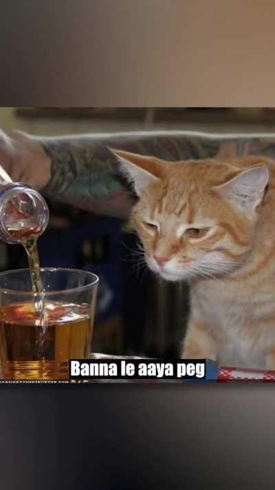 Banni ne bhi btech karli 👍