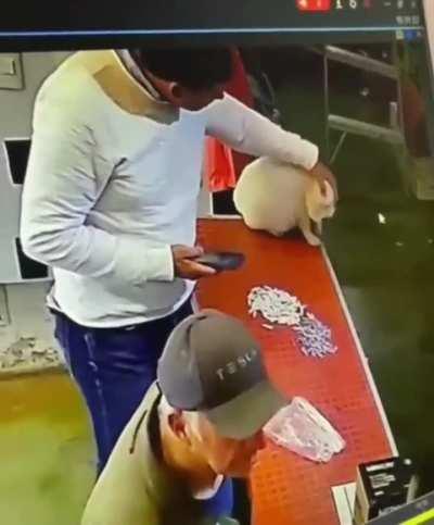 to befriend a store cat