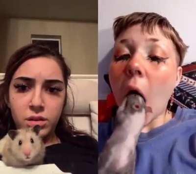 I don't know what to say.