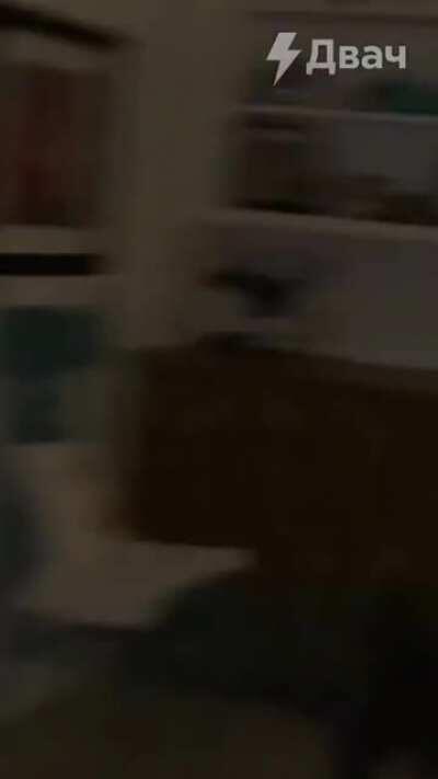 I heard you like yelling cats?