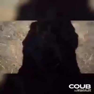 That's how we handle it.