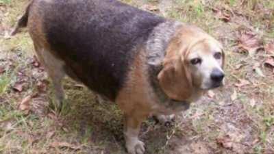 AGUANTE CON LOS 50 BITS