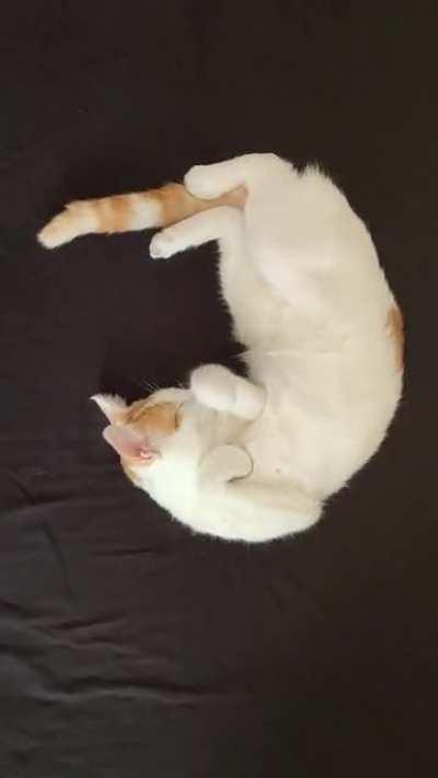 Modelling for vogue cover