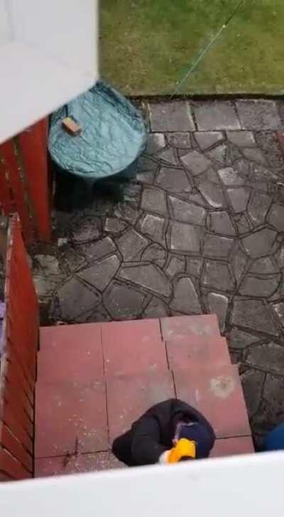 DBS breaking into someone's house