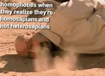 I spent way to much time trying to find this gif