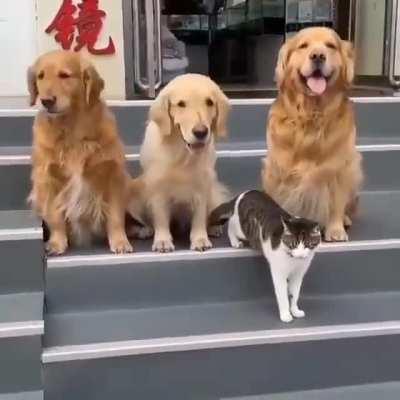 Always love these cuties