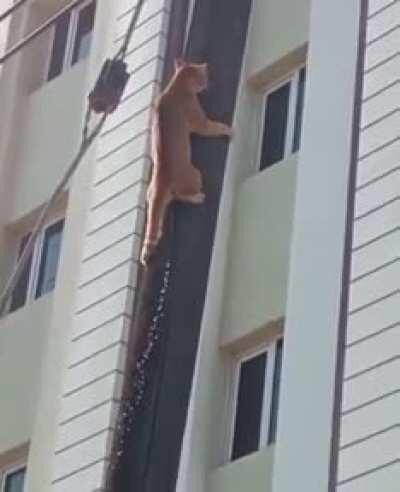 Couldnt hold it in anymore ahah