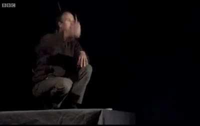 Owls make no sound when they fly