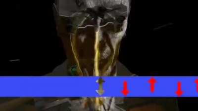 The long awaited sequel.