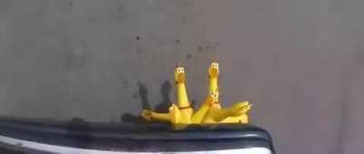 An interesting title