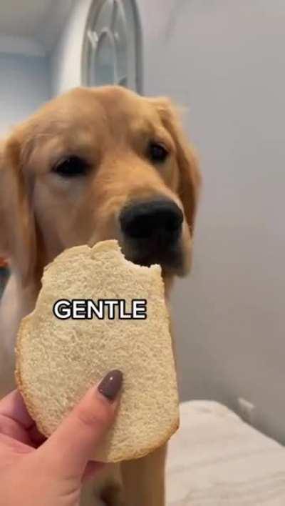 Was that GENTLE enough?